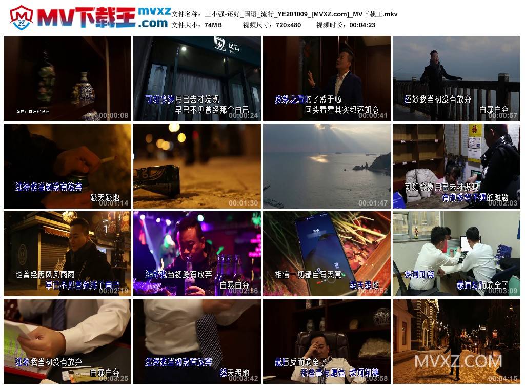 王小强-还好_国语_流行_YE201009